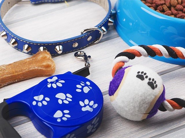 ¿Buscas accesorios personalizados para tus mascotas? ¡Tenemos la solución!